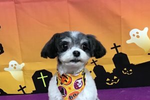 10月のお友達☆