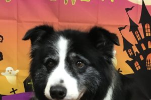 10月のお友達☆