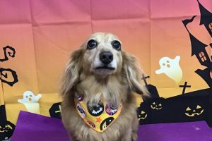 10月のお友達☆
