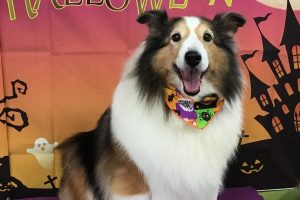 10月のお友達☆
