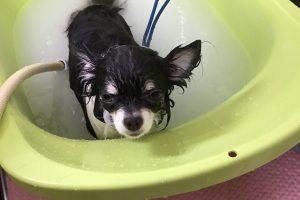 10月のお友達☆