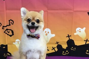 10月のお友達☆