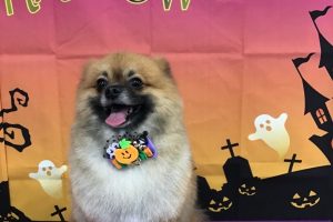 10月のお友達☆