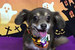 10月のお友達☆