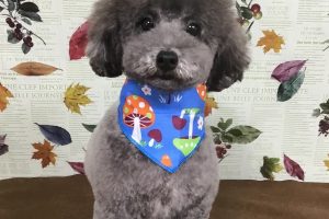11月のお友達☆