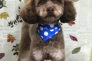 11月のお友達☆