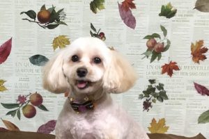 11月のお友達☆