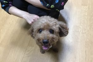 お泊り☆