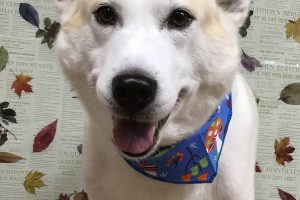 11月のお友達☆