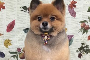 11月のお友達☆