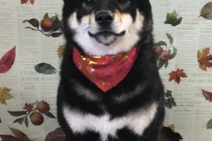 11月のお友達☆