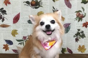 11月のお友達☆