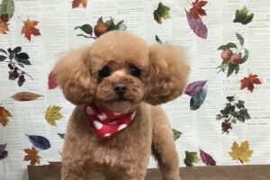 11月のお友達☆
