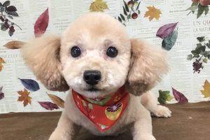 11月のお友達☆