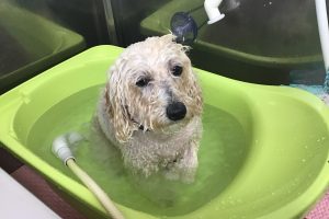11月のお友達☆