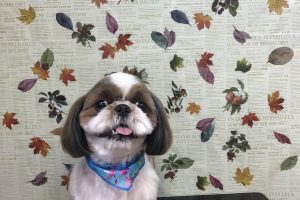 11月のお友達☆