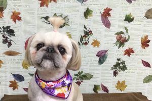 11月のお友達☆