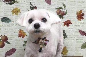 11月のお友達☆