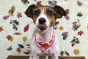 11月のお友達☆