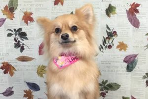 11月のお友達☆