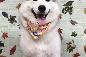 11月のお友達☆