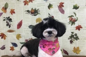 11月のお友達☆