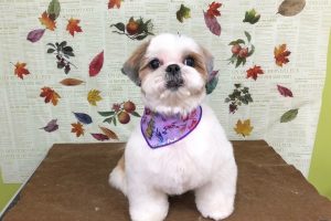 11月のお友達☆