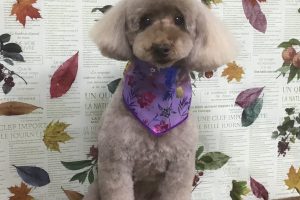 11月のお友達☆