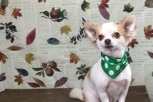 11月のお友達☆