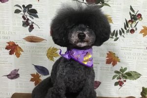 11月のお友達☆