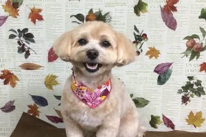 11月のお友達☆