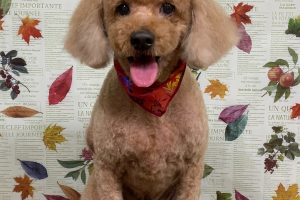 11月のお友達☆