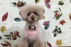 11月のお友達☆