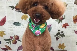 11月のお友達☆