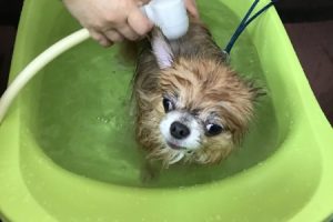 11月のお友達☆
