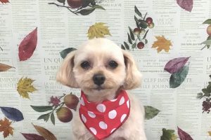 11月のお友達☆