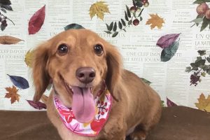 11月のお友達☆