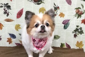 11月のお友達☆