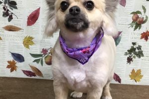 11月のお友達☆