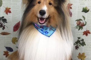 11月のお友達☆