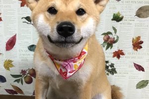 11月のお友達☆