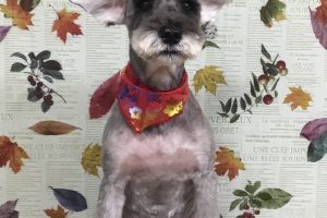 11月のお友達☆