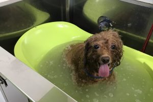11月のお友達☆