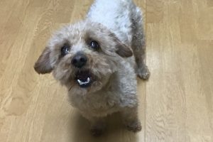 お泊り☆