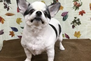 11月のお友達☆