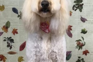 11月のお友達☆