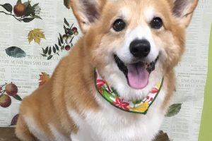 11月のお友達☆