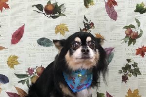 11月のお友達☆
