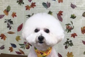 11月のお友達☆