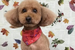 11月のお友達☆